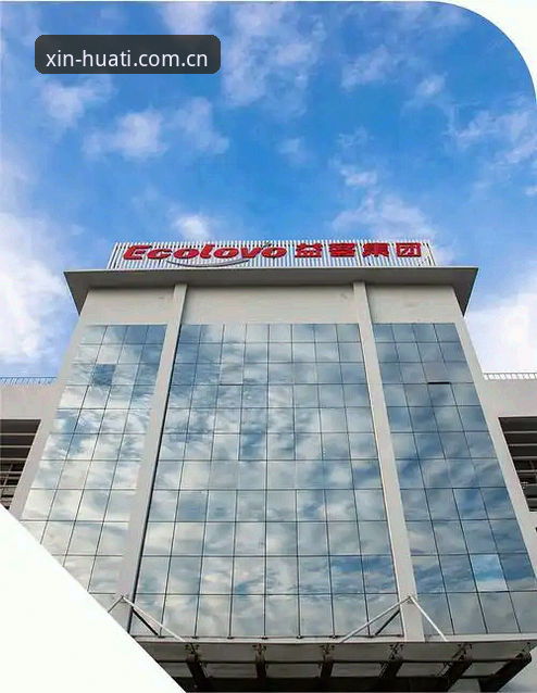 华体会中国首页下载不了怎么办？一位资深用户的深度分析与实战攻略